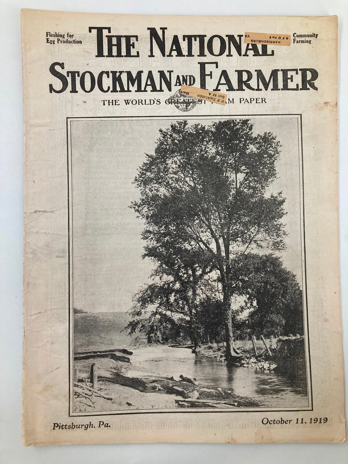 Cover of VTG The National Stockman and Farmer magazine, dated October 11, 1919, featuring an image of a tree by the water, showcasing the vintage charm and historical significance of agricultural life.