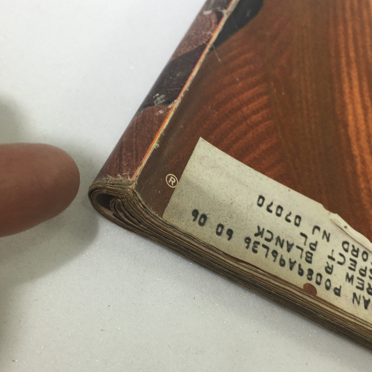 Close-up of the spine of the vintage Life Magazine from April 23, 1965, featuring Frank Sinatra. The image shows minor wear and a publication label, showcasing the magazine's vintage charm.