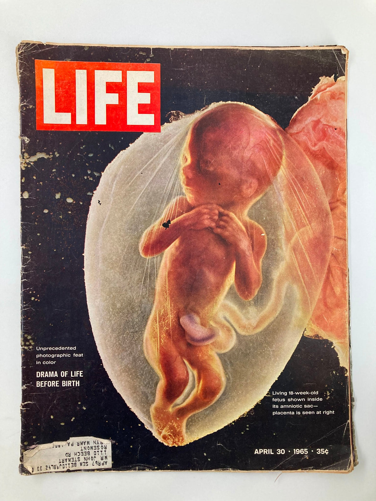 Cover of VTG Life Magazine from April 30, 1965, featuring a living 18-week-old fetus shown inside its amniotic sac, highlighting the remarkable photographic representation of fetal development.