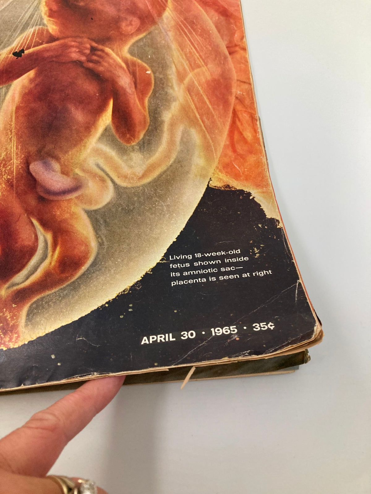Close-up view of the cover of VTG Life Magazine dated April 30, 1965, detailing the living 18-week-old fetus inside its amniotic sac, demonstrating prenatal life and photography.