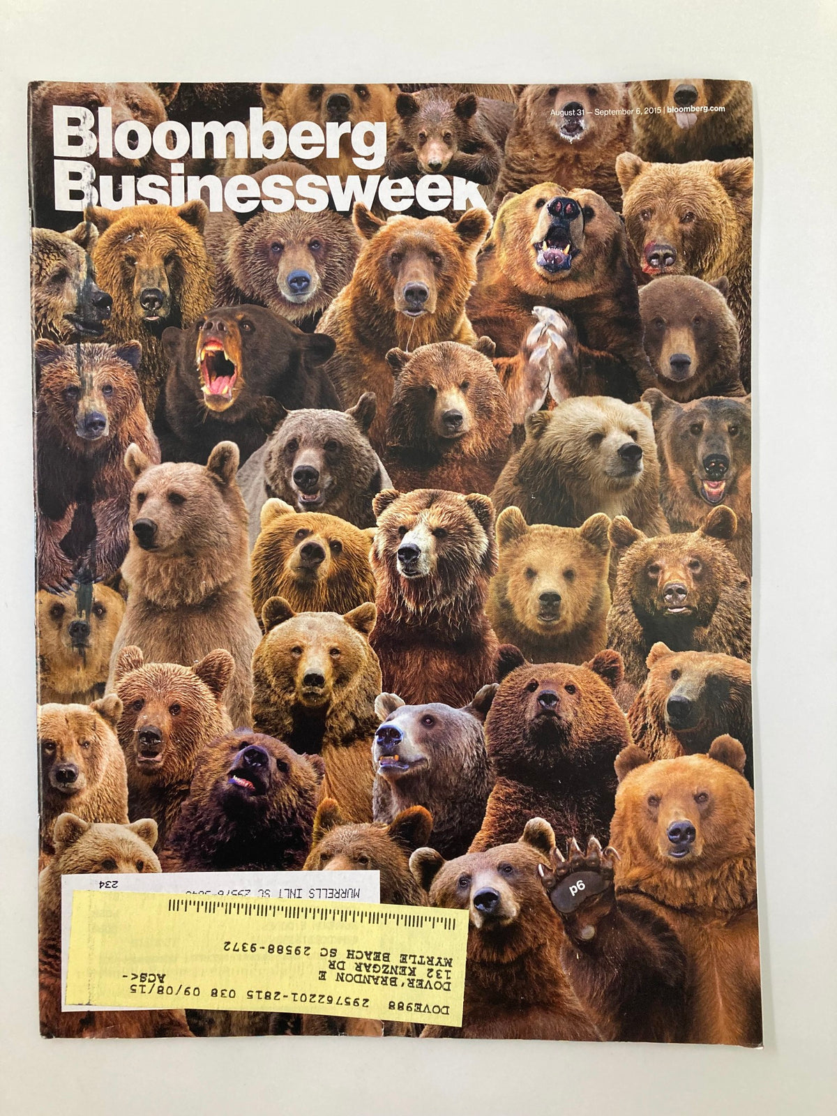 Cover of Bloomberg Businessweek Magazine August 31, 2015 featuring a collage of bears, related to the cover story 'What If There Were More Bears?' showcasing wildlife and business finance themes.