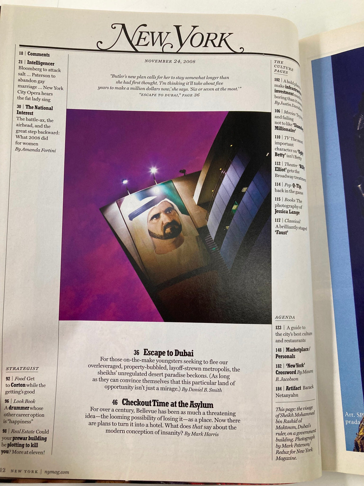Illustration from the New York Magazine, November 24, 2008, featuring an artistic depiction of a man with a prominent face, included in an article discussing escapism and travel to Dubai.