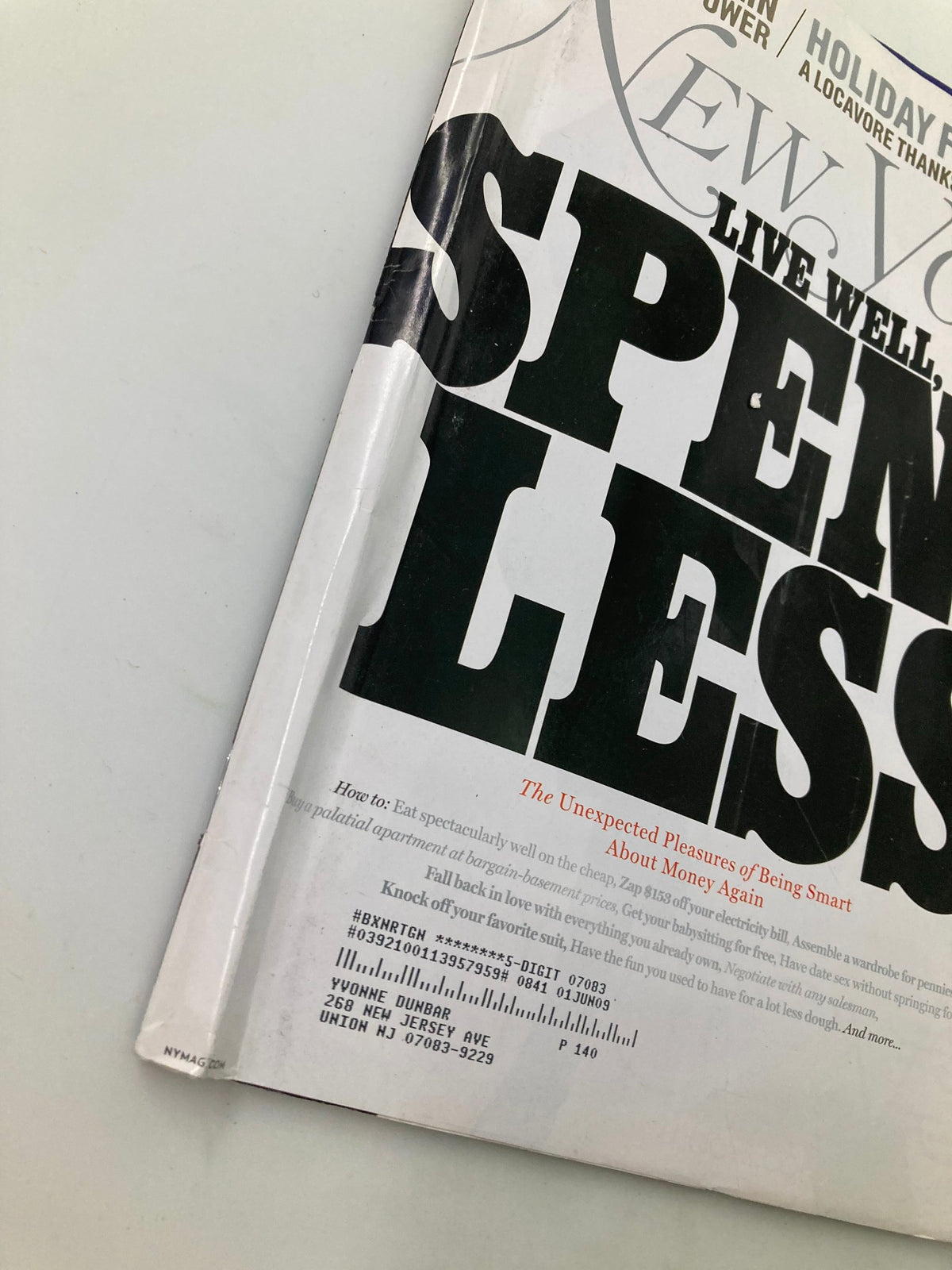 Close-up of the New York Magazine November 10, 2008 cover, highlighting the title 'The Unexpected Pleasures of Being Smart' and the issue's details.