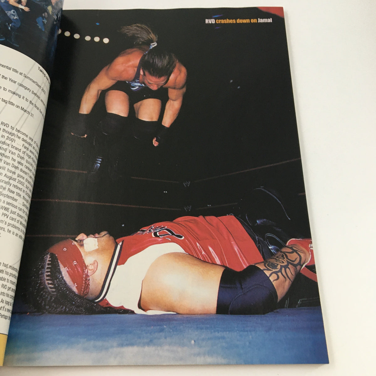 An action shot of RVD leaping off the ropes during a match, a moment captured in Pro Wrestling Illustrated Magazine Fall 2003.