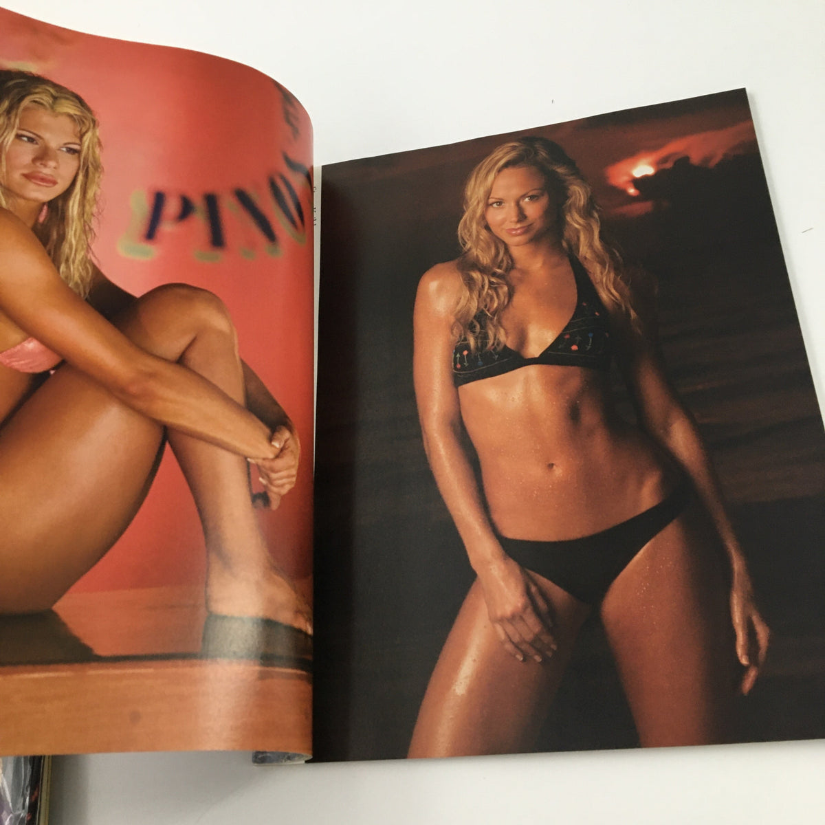 An inside spread from WWE Divas Magazine 2004, showcasing a stunning photo of female wrestlers including Torrie Wilson.