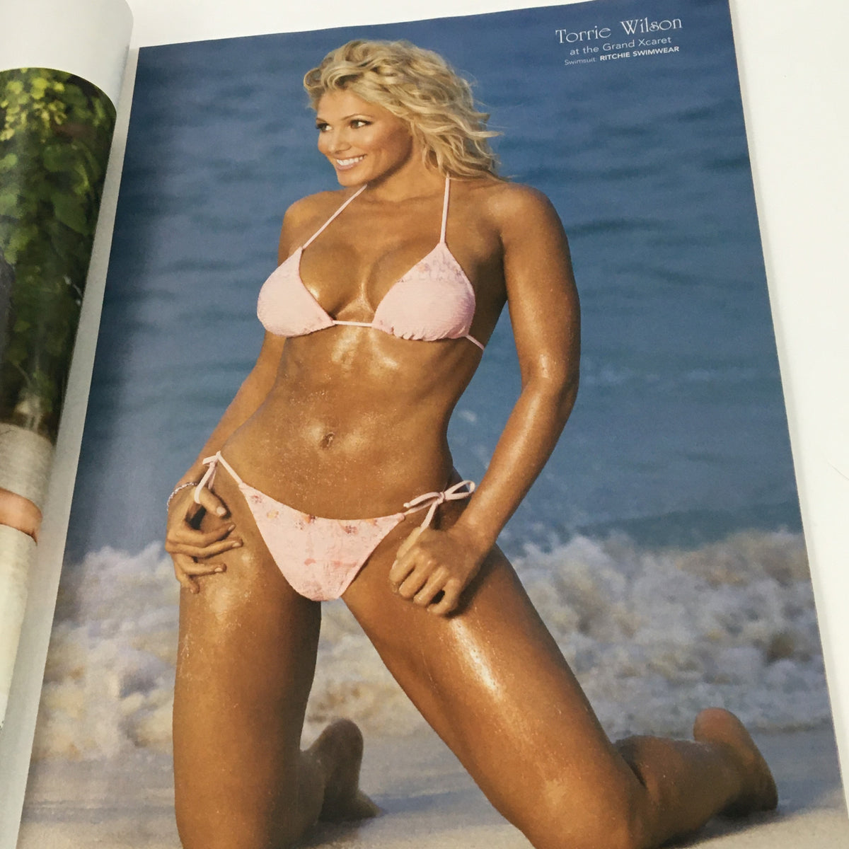 WWE Divas Magazine 2005 highlighting Torrie Wilson in a pink bikini by the beach, representing the beauty and charisma of WWE Divas.