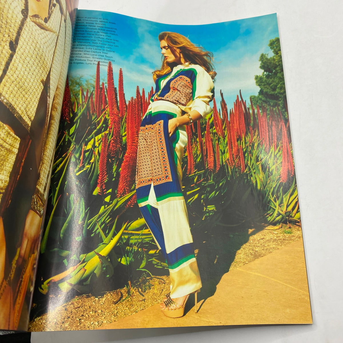 Numéro Magazine April 2011 #122 featuring Malgosia Bela in a vibrant outdoor setting surrounded by striking red flowers, showcasing high fashion and elegance.