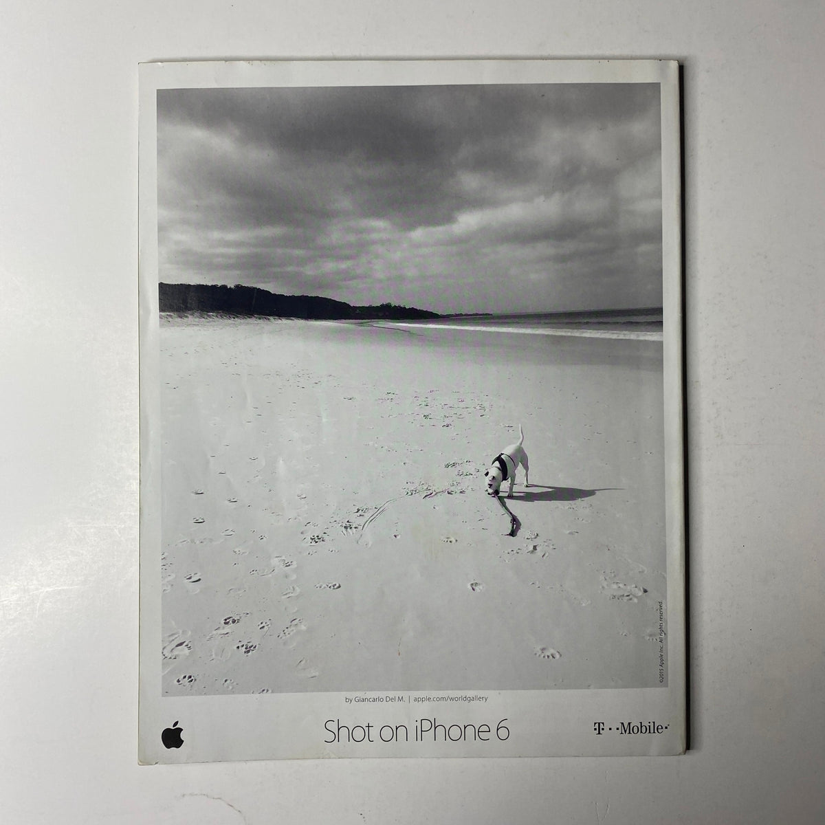 Back cover of Ebony Magazine July 2015 Vol 70 No. 9 displaying a black and white photograph of a dog on the beach taken with an iPhone 6, promoting T-Mobile.
