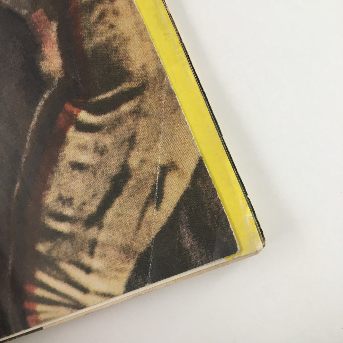 Close-up of the edge of Sports Illustrated Magazine September 7, 1964, showcasing vintage texture and wear, representing the Pro Football of the Year 1964.