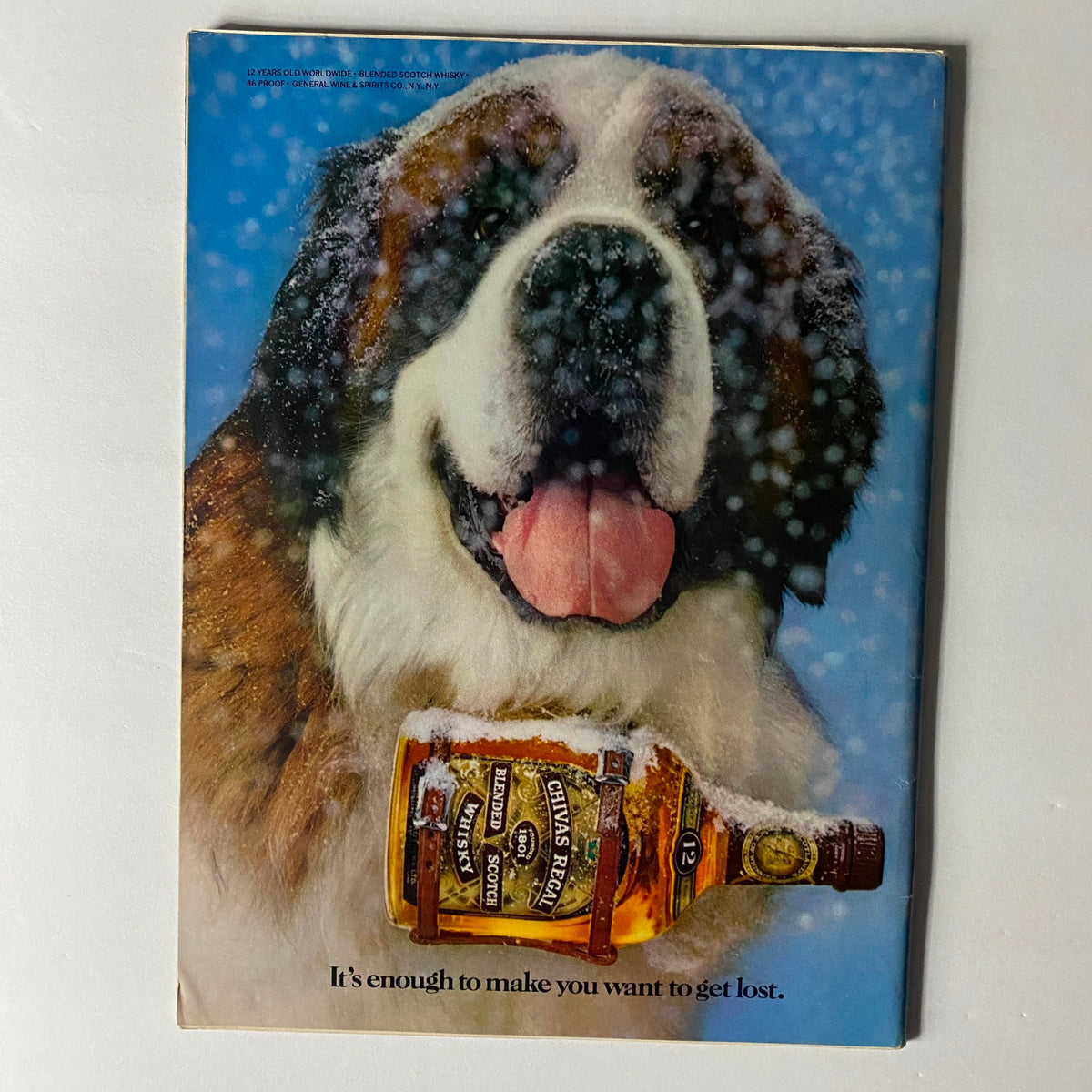Back cover of the Sports Illustrated magazine February 9, 1981, displaying an advertisement featuring a Saint Bernard dog with a whisky bottle, complemented by a snowy background.