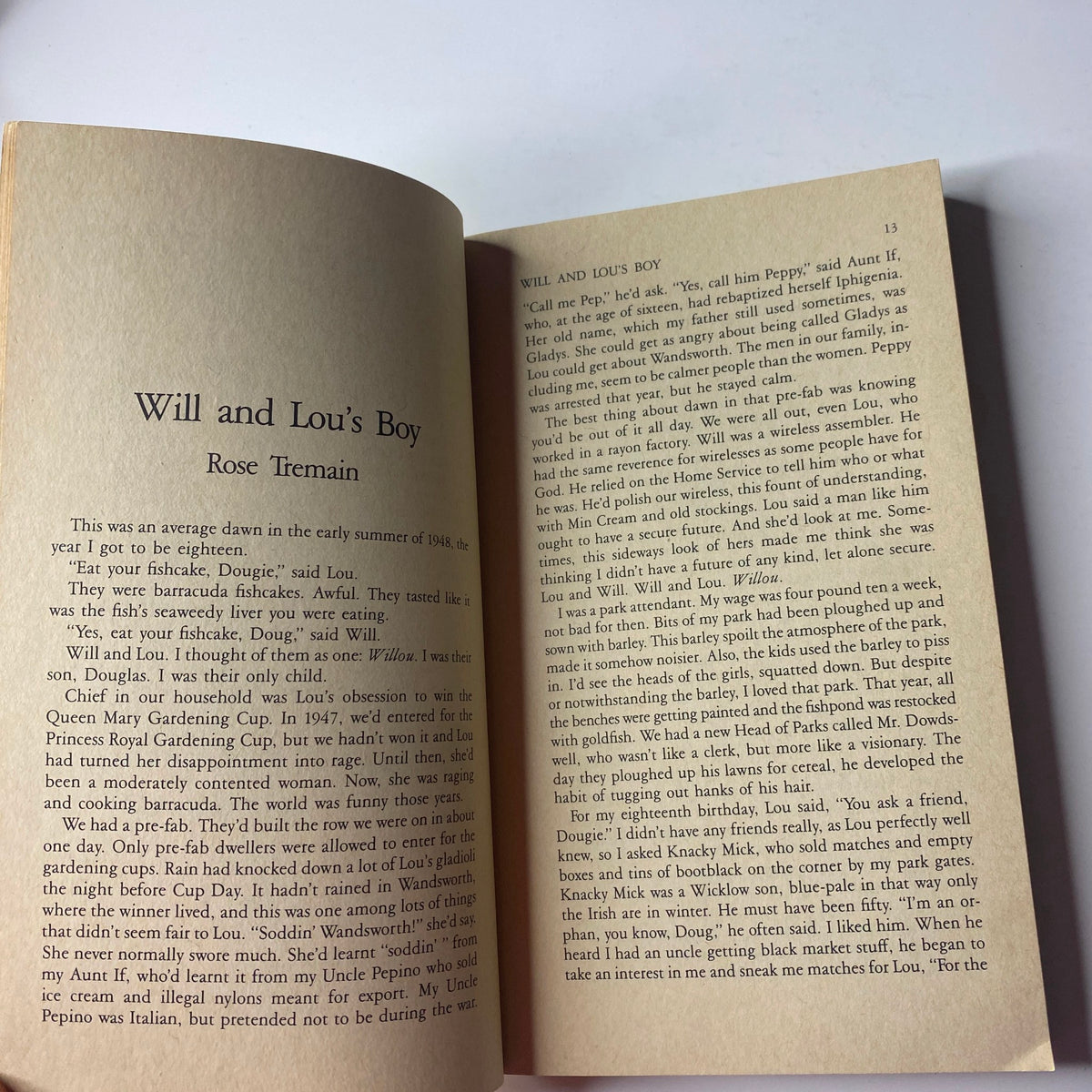 Excerpt from the story 'Will and Lou's Boy' by Rose Tremain in The Paris Review Magazine Summer 1985 No. 96, showcasing literary content.