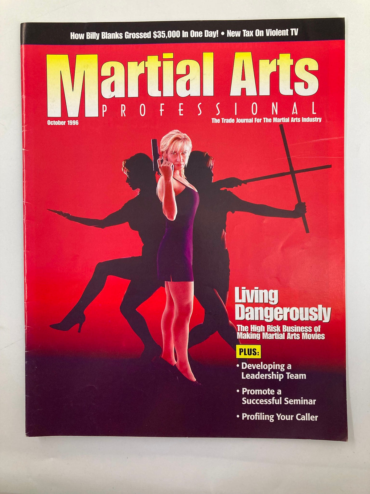 Cover of Martial Arts Professional magazine, October 1996 issue featuring Cynthia Rothrock, with headlines about the high risks of making martial arts movies.