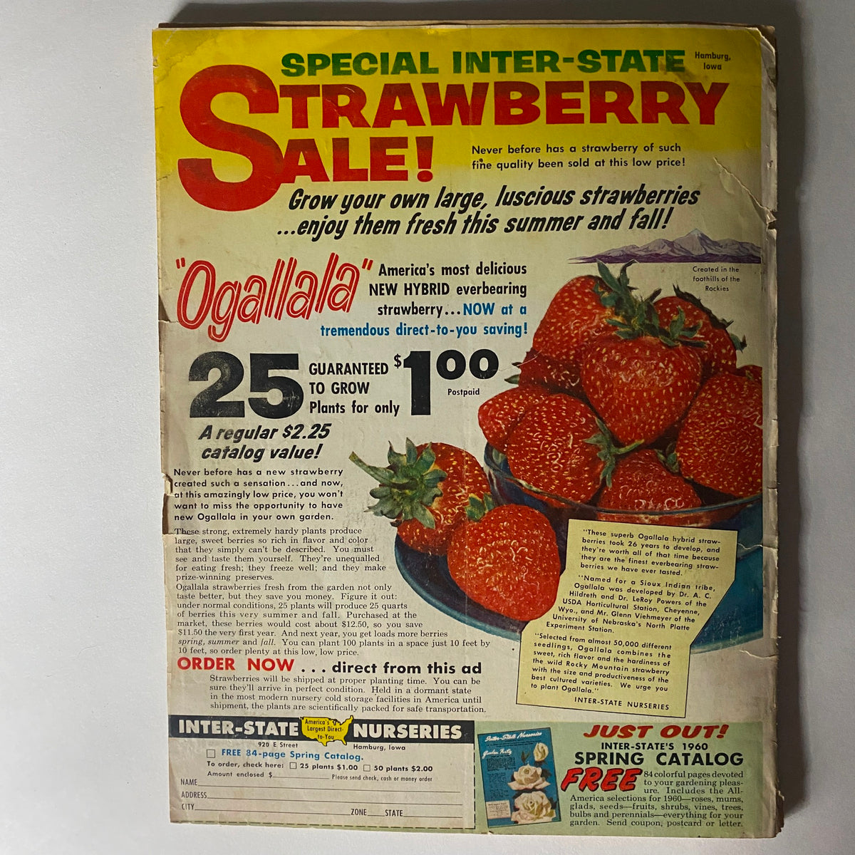 Cover of VTG Carper's Farmer Magazine February 1960 featuring a special inter-state strawberry sale advertisement with fresh strawberries.
