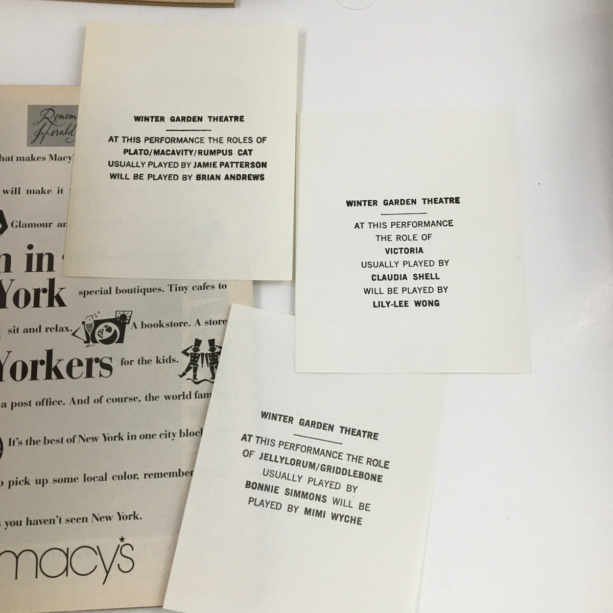 Inside the 1988 Playbill for Cats, showcasing cast information at the Winter Garden Theatre, including roles for Platos, Rumplestiltskin, and others.