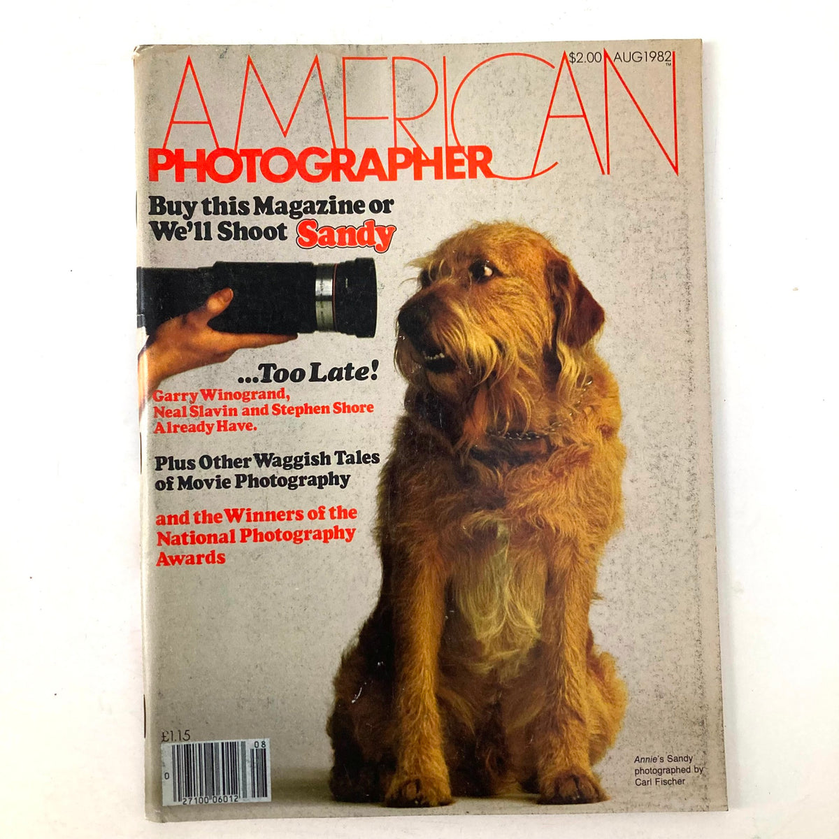 Cover of American Photographer Magazine August 1982 featuring a brown dog named Sandy, photographed by Carl Fischer, with bold typography and design.