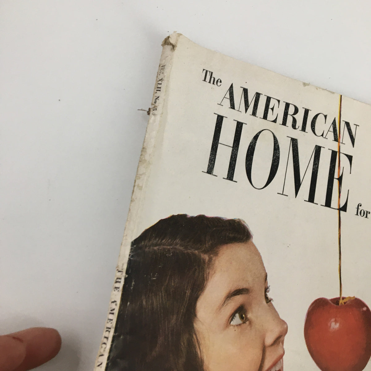 Vintage The American Home Magazine October 1949 Cellerway into Greenhouse