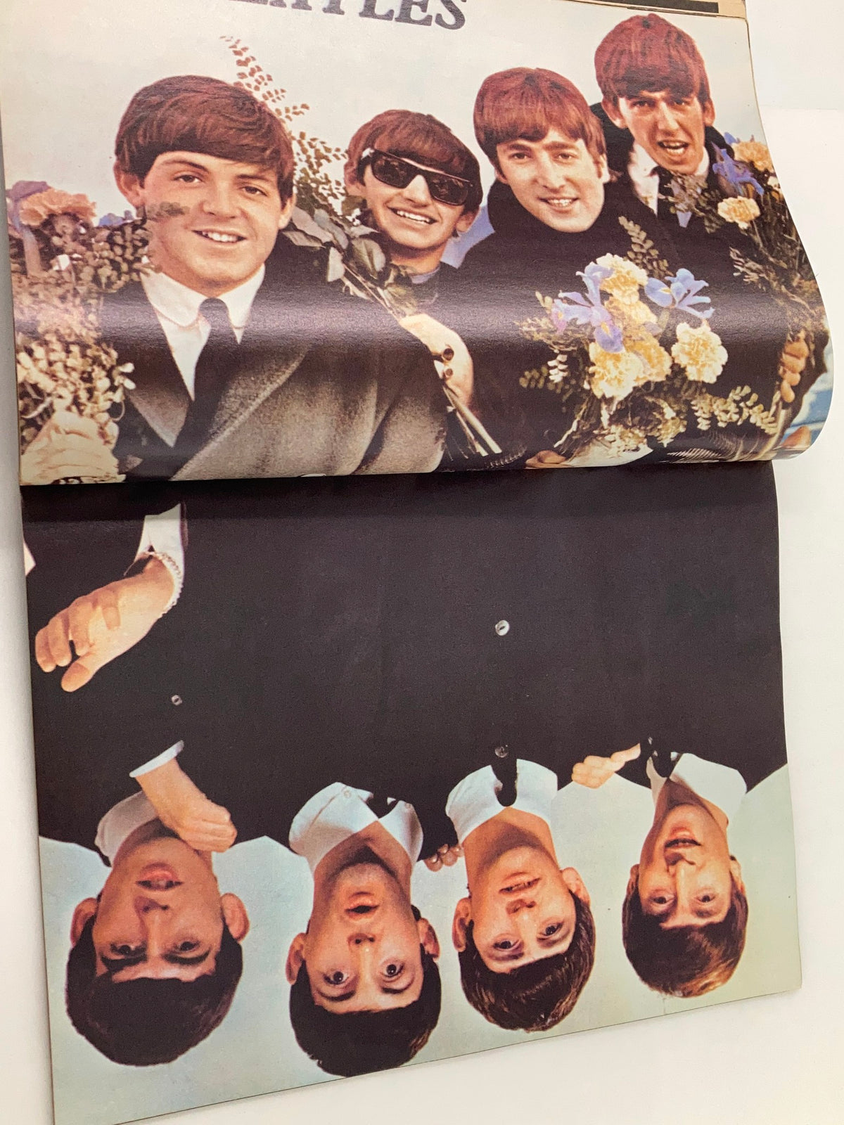 Iconic Color Photo of The Beatles Smiling with Flowers in the 1981 John Lennon Beatles Memory Book, A Tribute to The Fab Four.