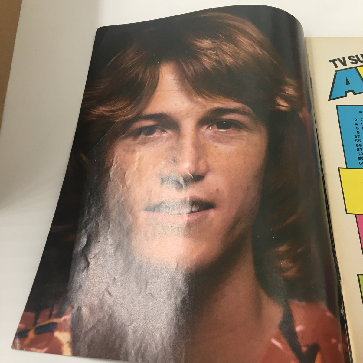 Close-up of Andy Gibb featured in the VTG TV Superstar Magazine December 1978, showcasing his youthful look and hairstyle.