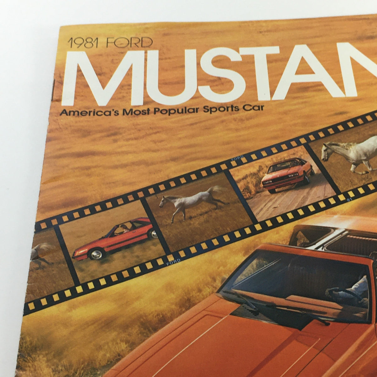 Close-up of the 1981 Ford Mustang Sports Car Dealership Car Auto Brochure Catalog cover displaying the title and images of different Mustang models against a golden field backdrop.