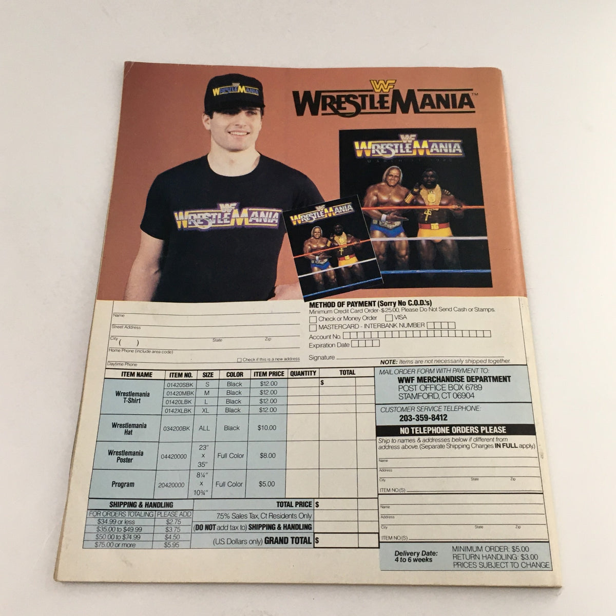 WWF Magazine June-July 1985 featuring Hulk Hogan, Mr. T, and Jimmy Hart. The image shows a promotional order form for WrestleMania merchandise, including a T-shirt, program, and wrestling memorabilia.