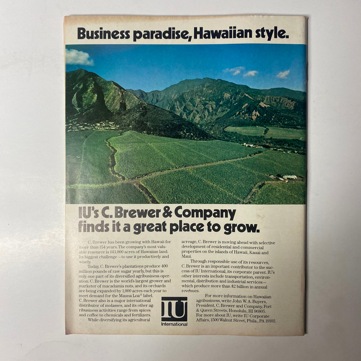 Forbes Magazine July 20, 1981 cover featuring a scenic view of Hawaiian landscape with text discussing IU's C. Brewer & Company and its agricultural contributions, highlighting Hawaii as a business paradise.