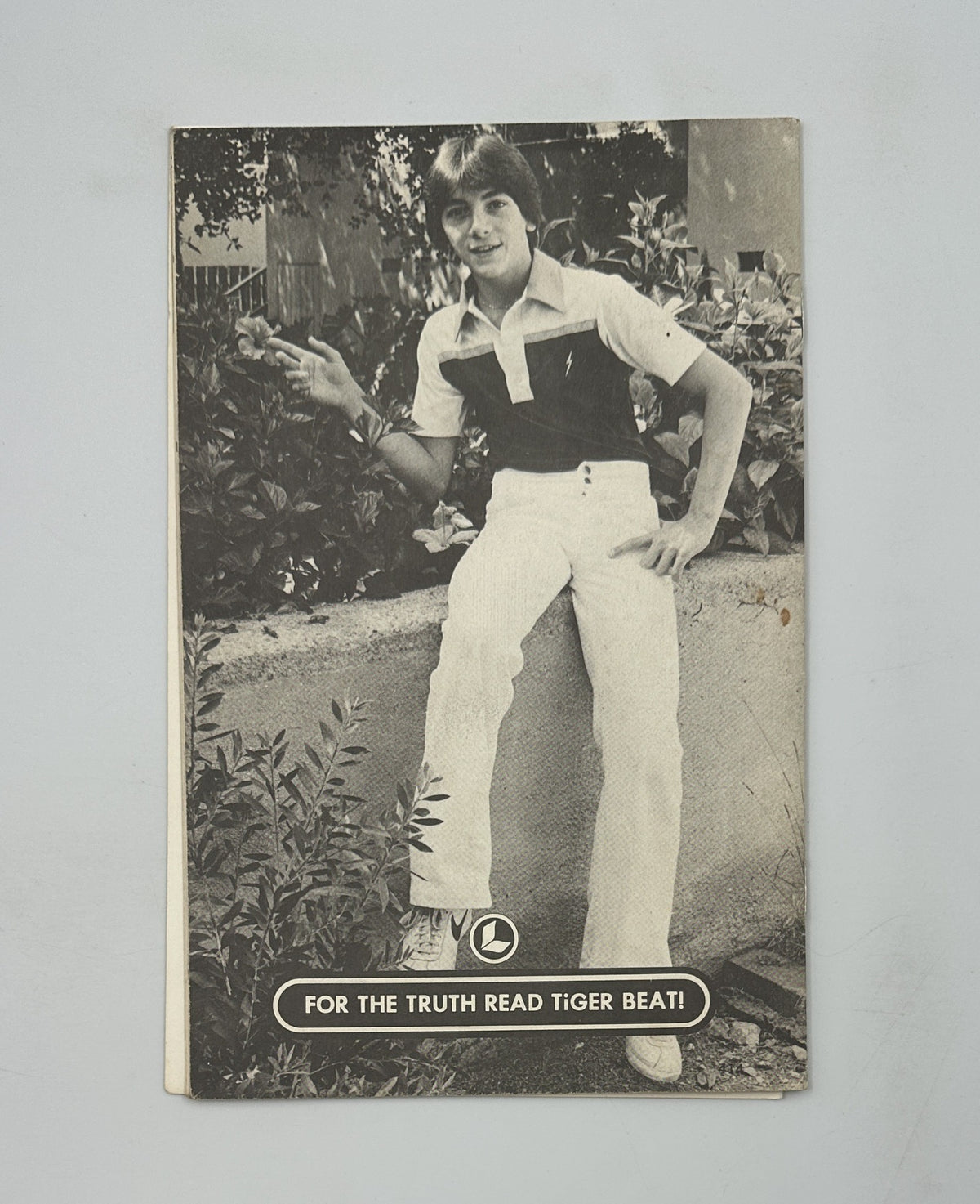 Cover of 'The Secret of Scott Baio' magazine featuring the teen idol from Happy Days, Scott Baio, sitting outdoors in a stylish outfit surrounded by greenery.
