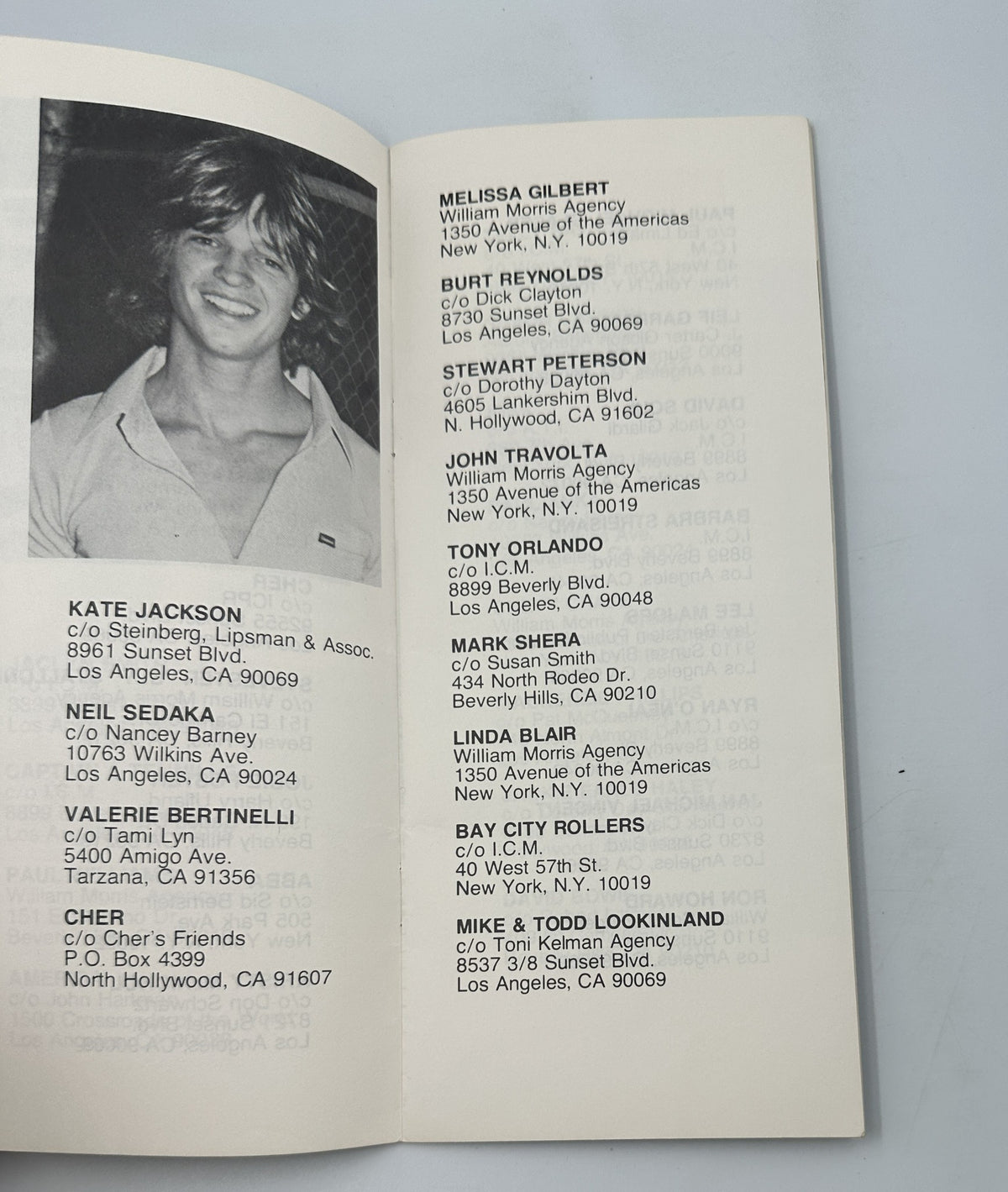 Listing of popular teen idols in the Teen Beat Magazine Official Star Directory, including contact information for representatives like Melissa Gilbert and Cher.