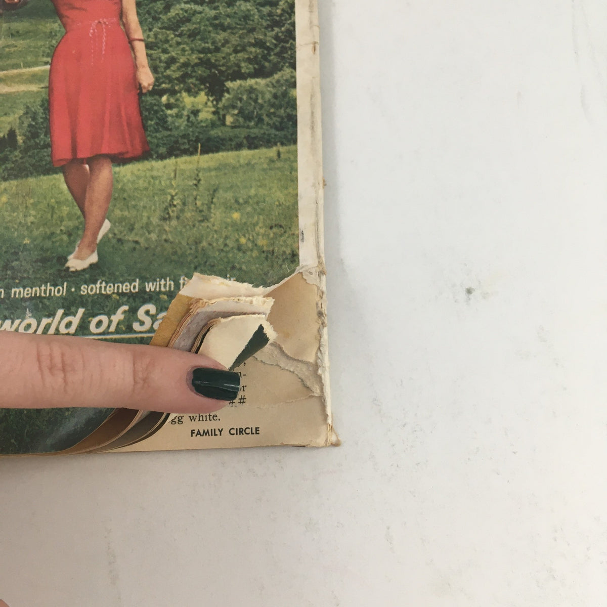 Detailed view of the back cover of Family Circle Magazine January 1965, showcasing wear and tear, featuring a model in a red dress amidst a green landscape.