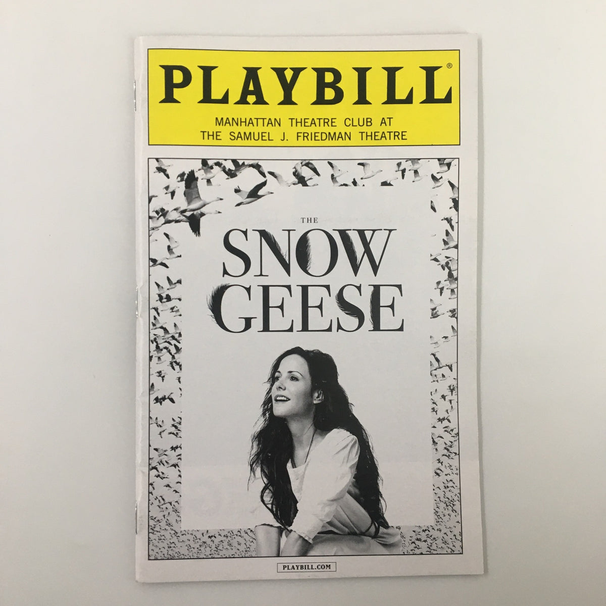 2013 Playbill for The Snow Geese by Sharon White featuring the cover design with an image related to the production.