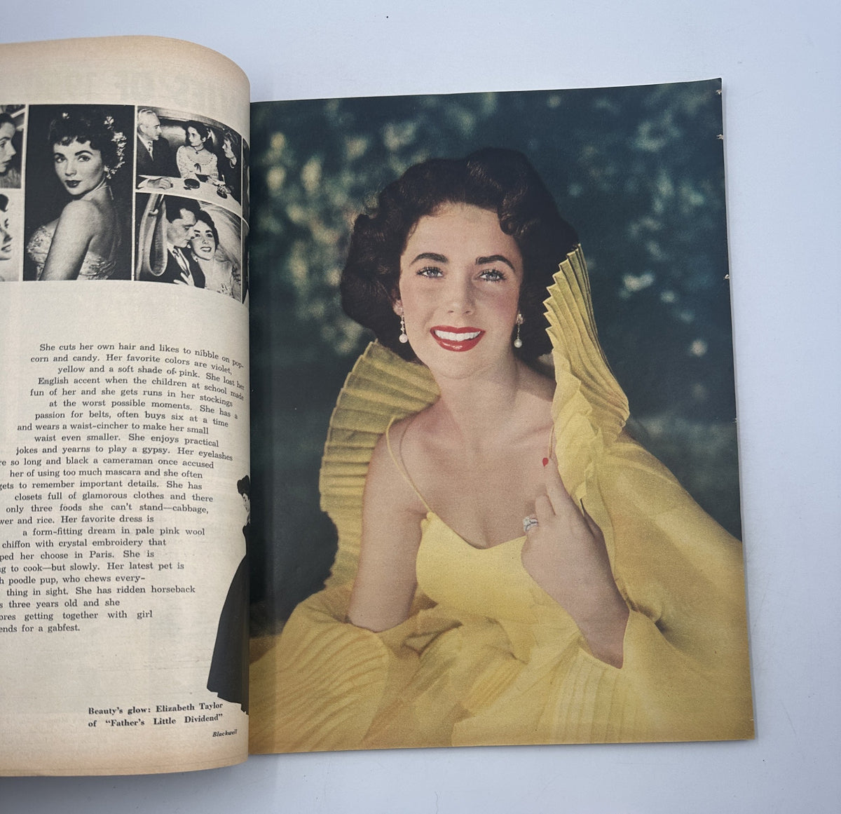 A portrait of Elizabeth Taylor in a stunning yellow dress from the 1951 Photoplay Magazine Annual showcasing her iconic style.