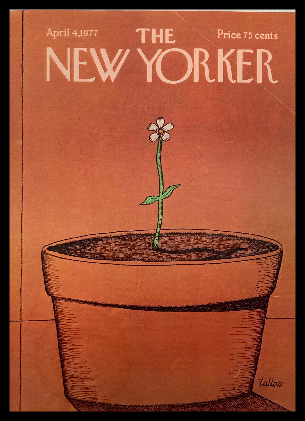 The New Yorker cover from April 4, 1977, titled 'A Flower' by Robert Tallon, featuring an illustration of a flower growing from a brown pot against an orange background.