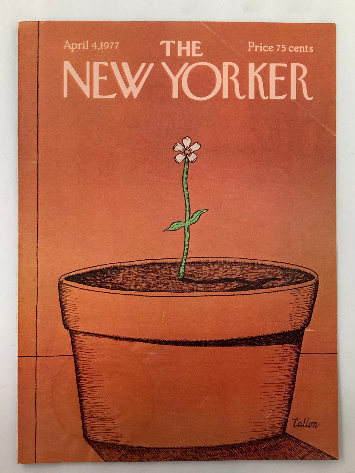 The New Yorker cover dated April 4, 1977, titled 'A Flower' by Robert Tallon, showcasing a simple floral image in a terracotta pot on a warm orange backdrop.