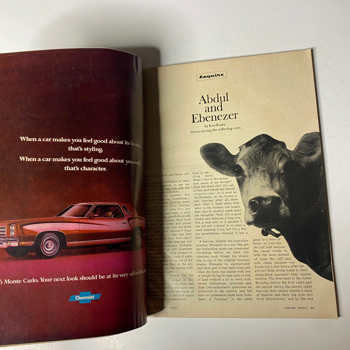 Inside pages of Esquire Magazine March 1976 showing the article 'Abdul and Ebenezer' by Ken Kesey, highlighting rural life insights.