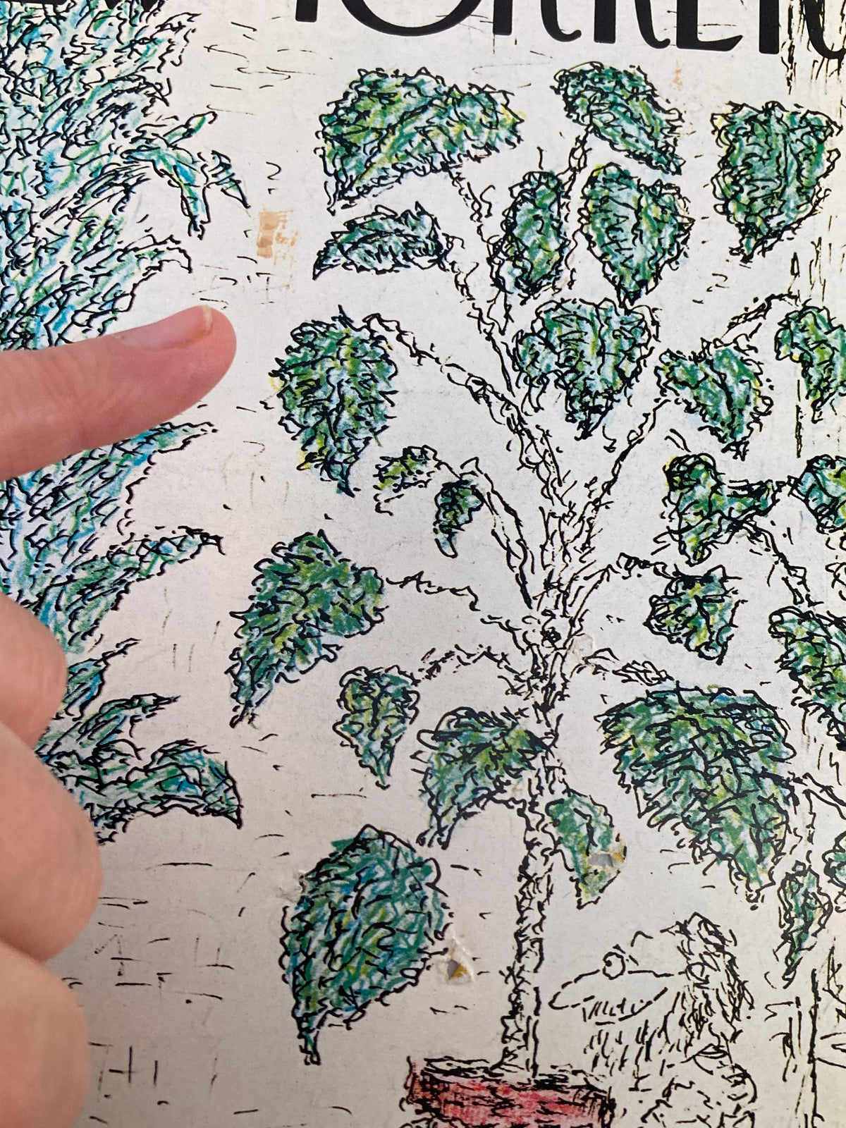 Close-up of The New Yorker Cover May 5 1975 'Plant Galore' by Edward Koren, highlighting detailed illustrations of leaves and plants.
