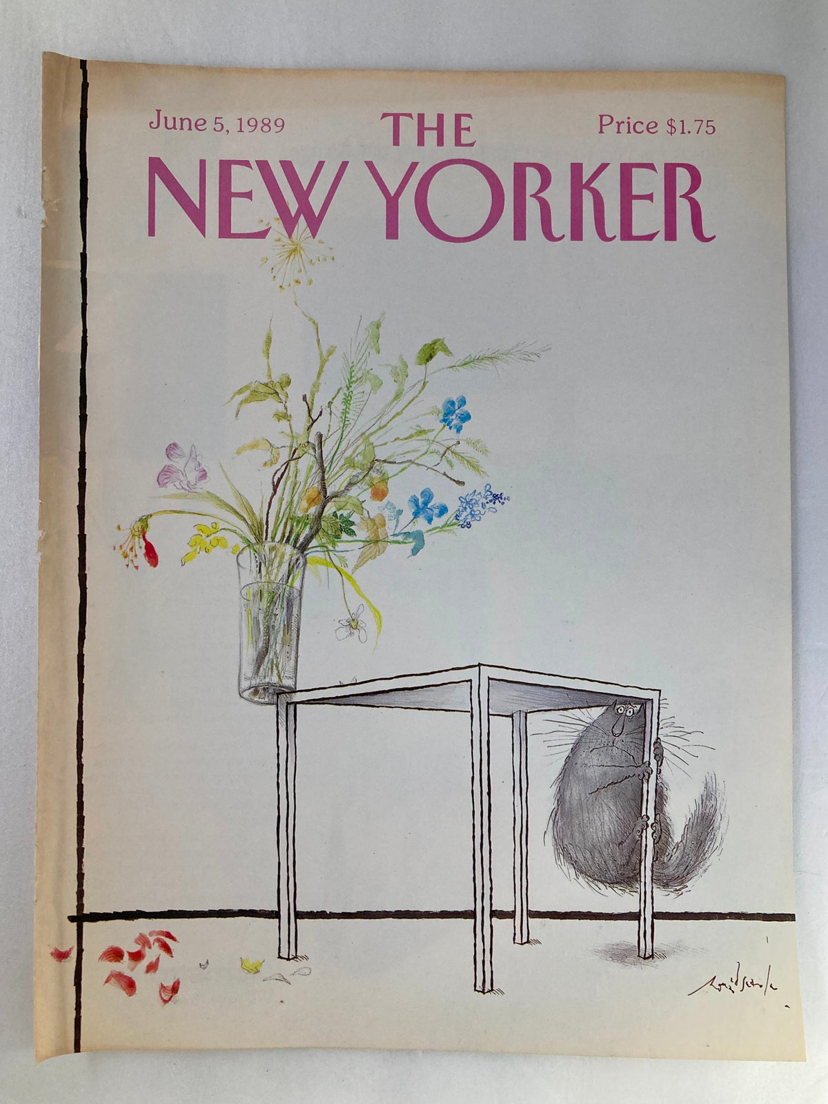 Cover only of The New Yorker June 5, 1989, featuring an illustration of a startled cat peering from behind a table with flowers. Artwork by Ronald Searle.