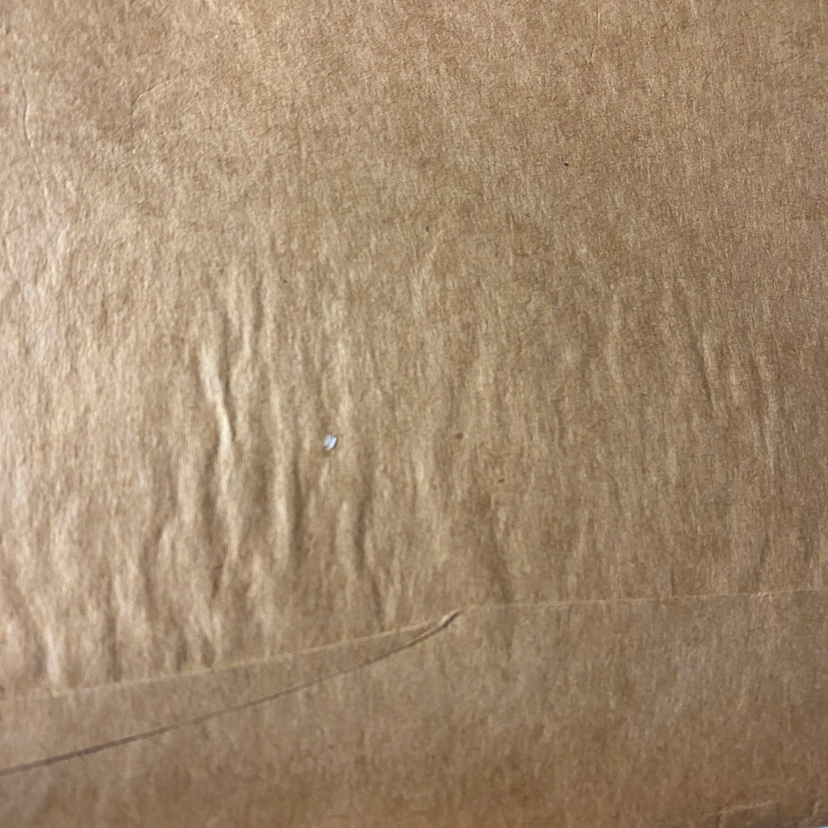 Detailed texture of the back cover of The New Yorker Full Magazine February 9, 1976 showing age and wear characteristics.
