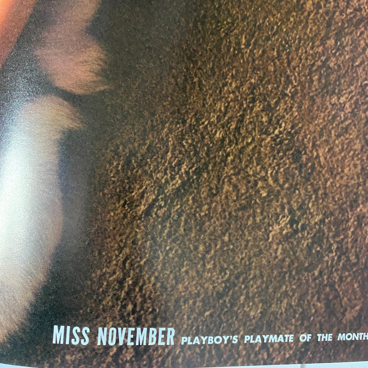 Centerfold page of Playboy Magazine November 1966, introducing Miss November Playmate Lisa Baker, emphasizing her role as the magazine's featured model.