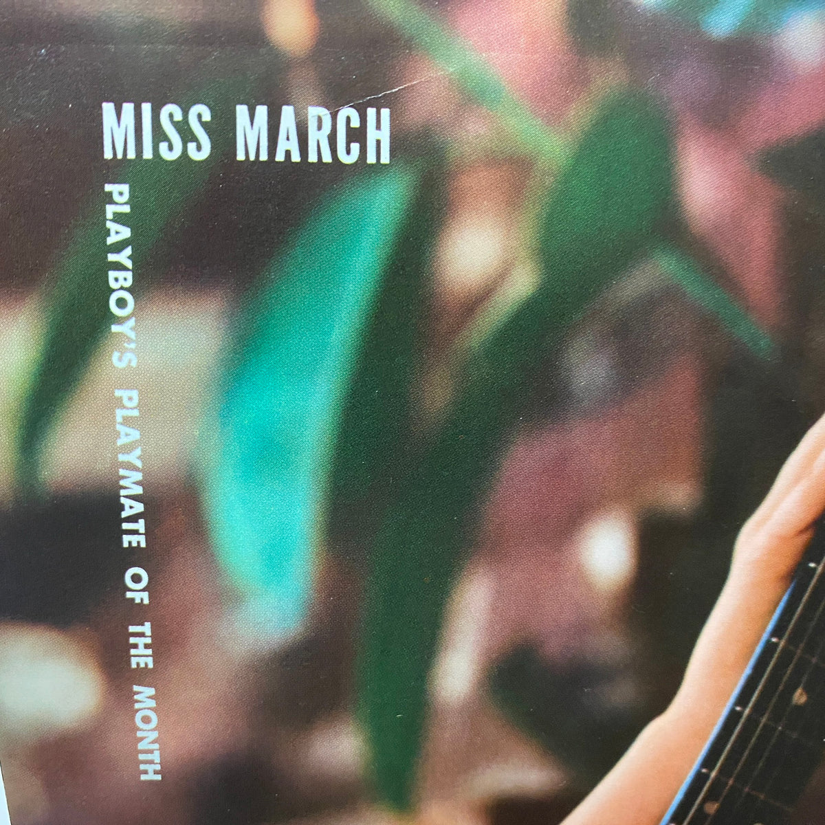 Cover detail of Playboy Magazine March 1968 featuring Miss March Michelle Hamilton as Playmate of the Month.