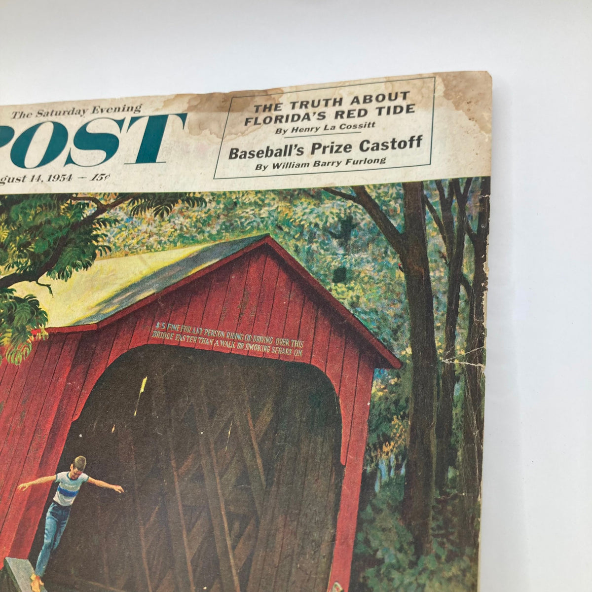 Detail of the top portion of the Saturday Evening Post Magazine August 14, 1954, highlighting the cover story and articles including 'The Truth About Florida's Red Tide'.