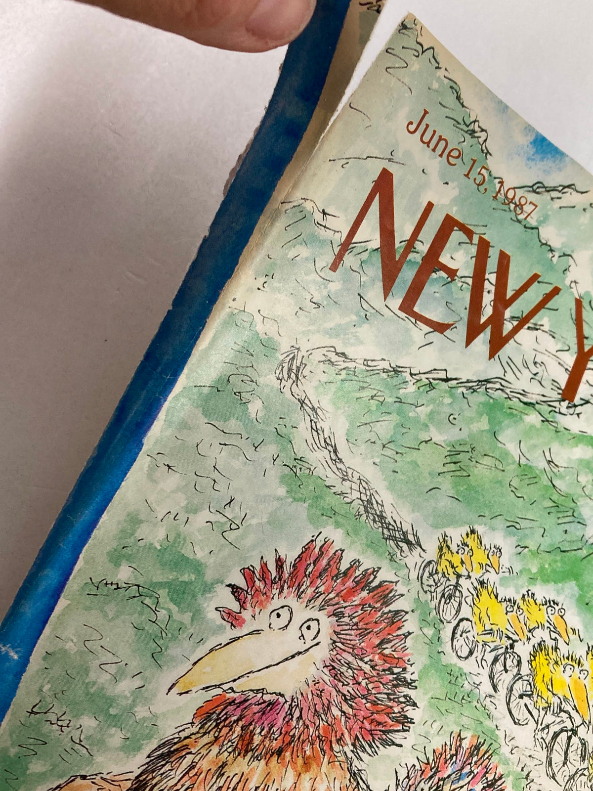 Close-up of the edge of The New Yorker June 15 1987 cover, showcasing the distinct blue border and details of the whimsical illustration by Edward Koren.