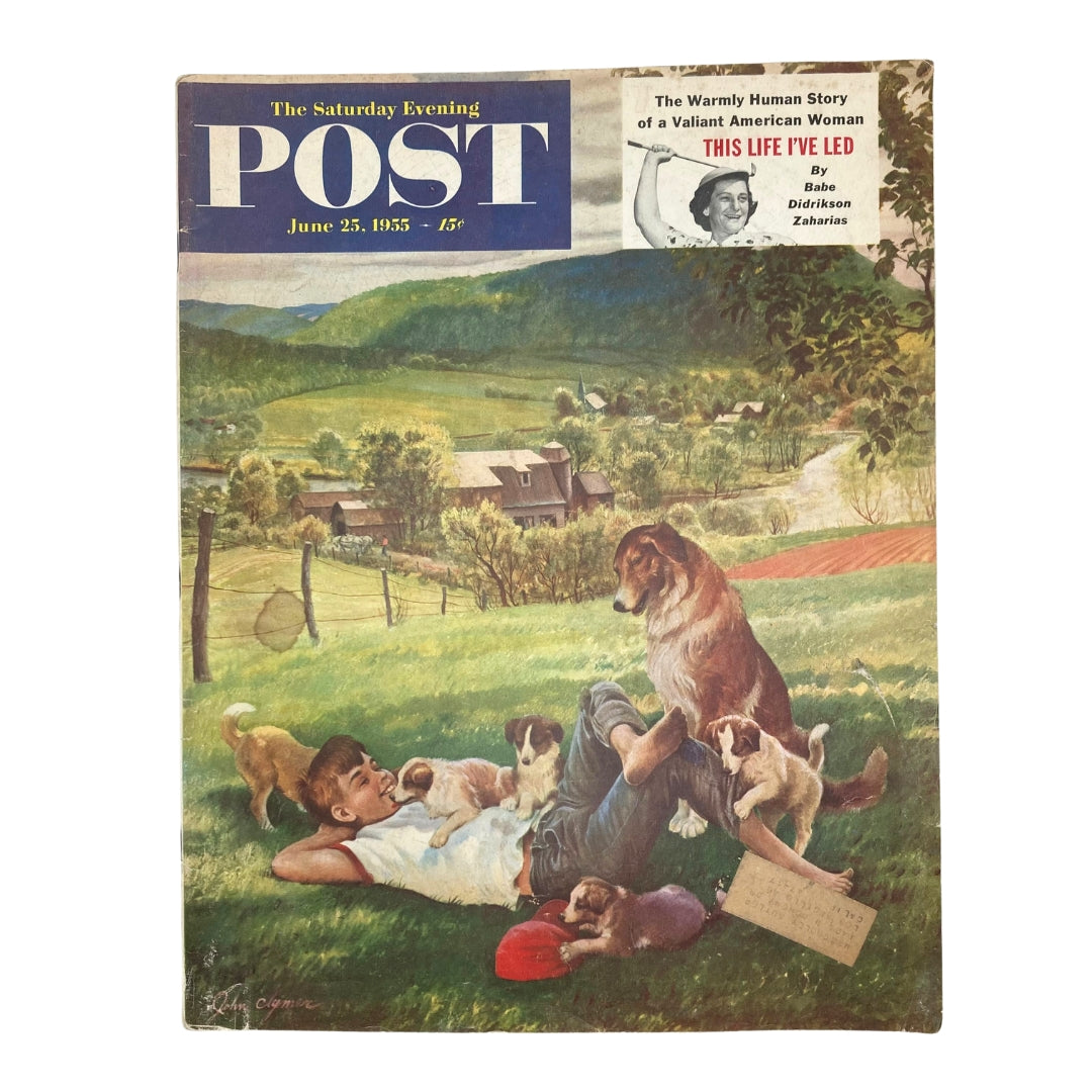 Cover of Saturday Evening Post Magazine June 25 1955 featuring the artwork 'Barefoot Boy' by John Clymer, depicting a young boy lying on the grass surrounded by playful puppies.