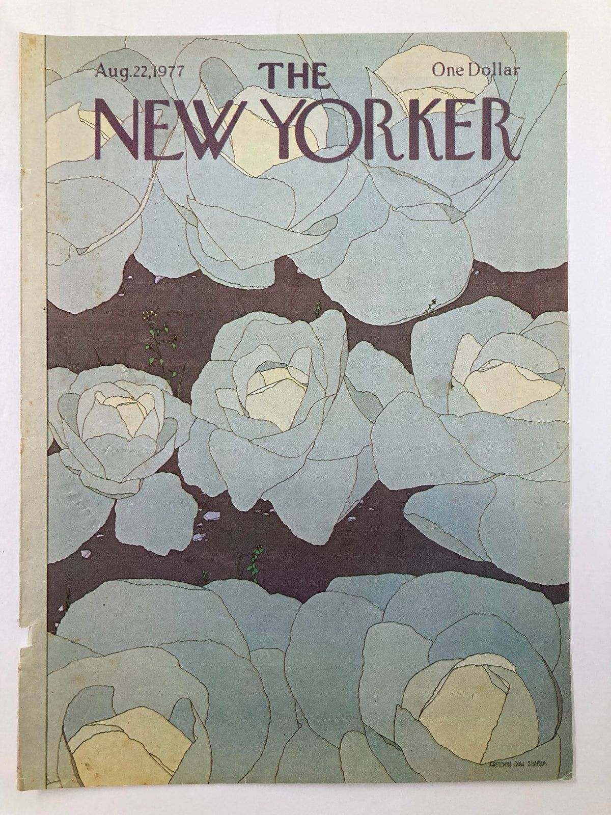 Another view of The New Yorker cover, dated August 22, 1977, showcasing an artistic depiction of cabbages by Gretchen Simpson.