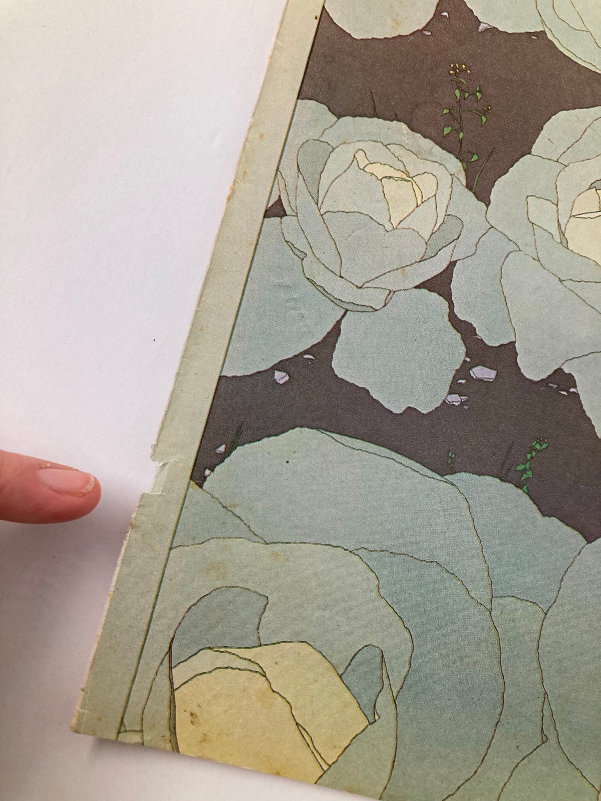 Close-up of the corner of The New Yorker cover from August 22, 1977, highlighting the delicate details of cabbages illustrated by Gretchen Simpson.