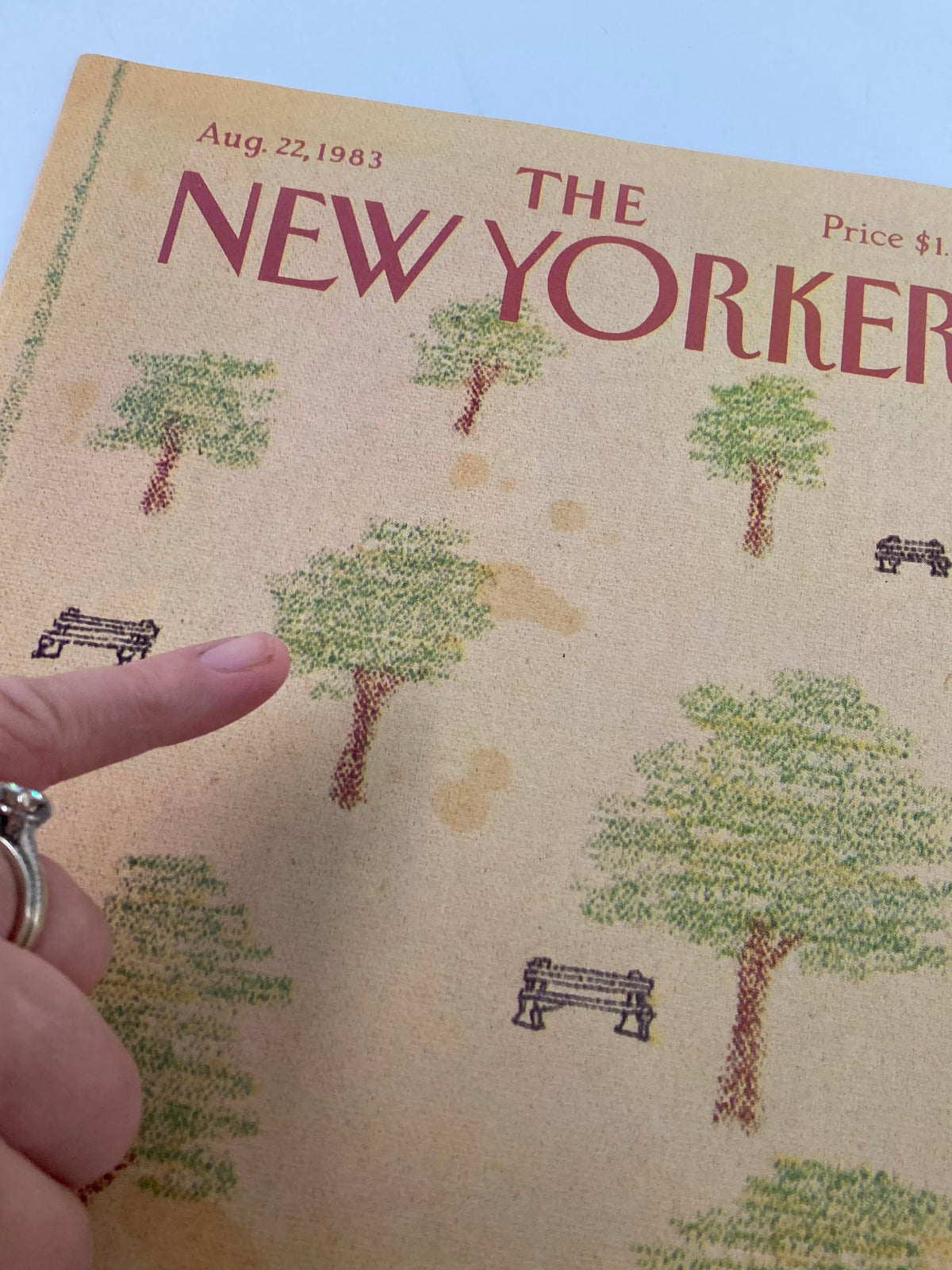 COVER ONLY The New Yorker August 22 1983 highlighting the artwork 'Bench Park' by Robert Tallon, with an emphasis on detailing trees and park benches.