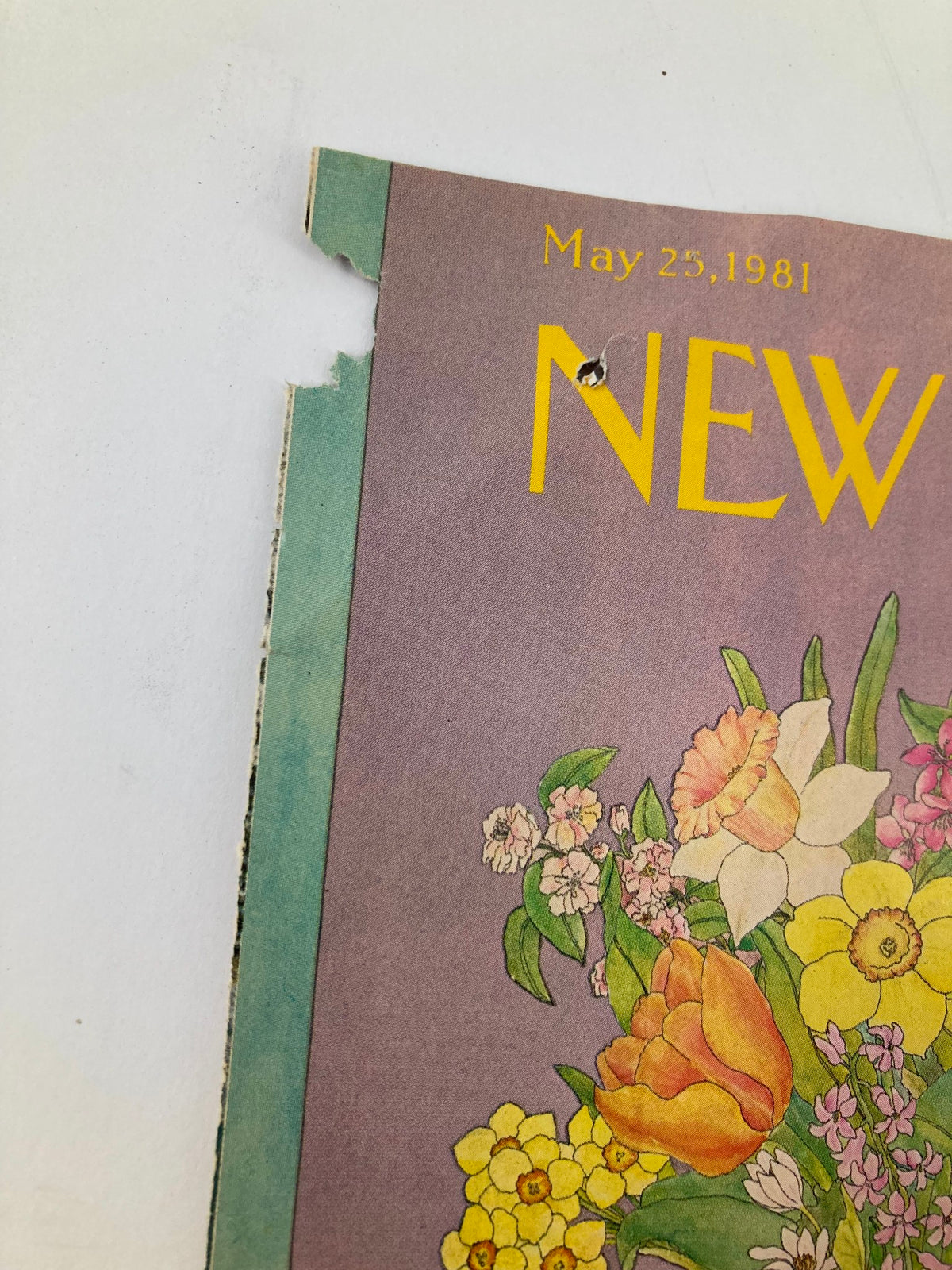 COVER ONLY The New Yorker May 25 1981 Flower Vase by Jenni Oliver. Close-up view of the magazine cover, revealing wear and a vintage aesthetic, including a tear at the edge, showcasing its historical significance.