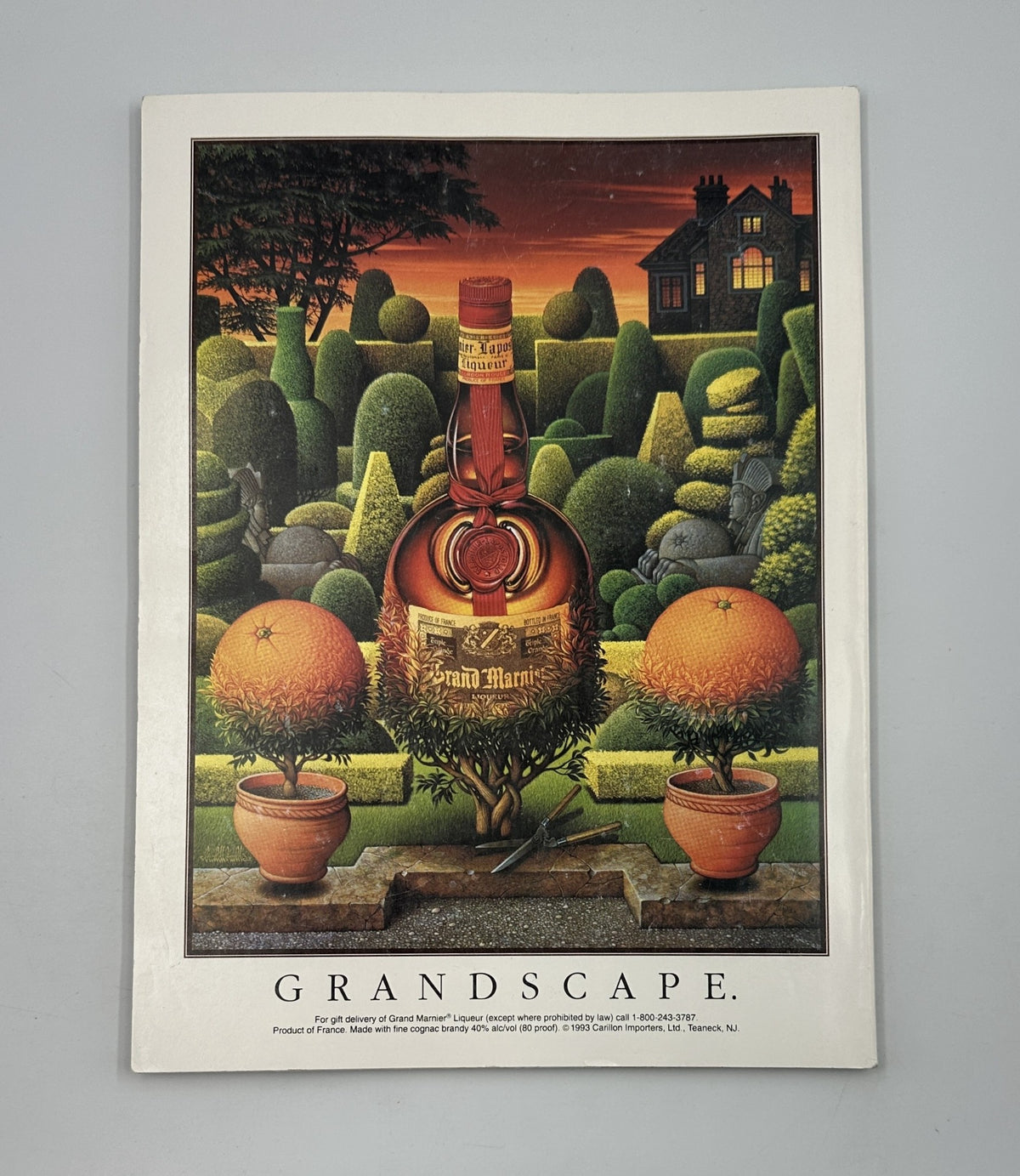 Advertisement page for Grand Marnier featured in Vanity Fair Magazine January 1994, featuring a surreal landscape image with a bottle and decorative elements, illustrating the magazine's blend of luxury and lifestyle content.