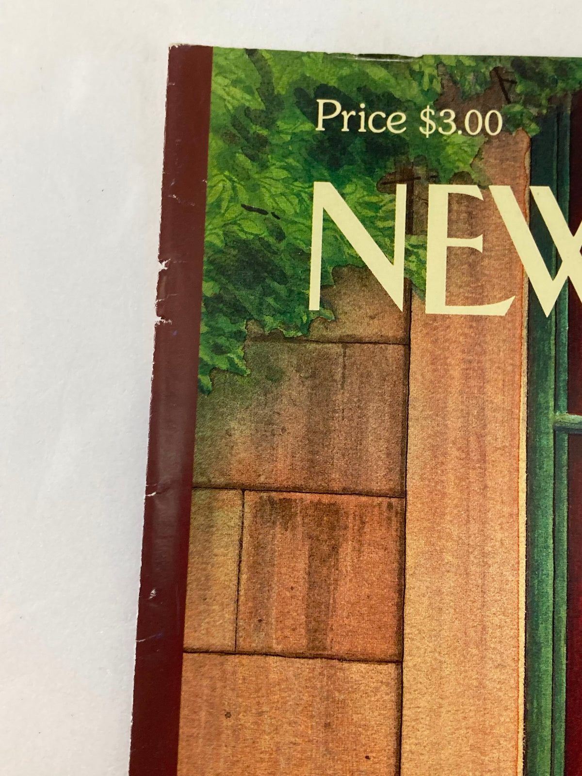 The New Yorker May 10 1999 Cover - Here's To You Mom, zoomed in view of the cover edge, displaying minor wear and the magazine's title.