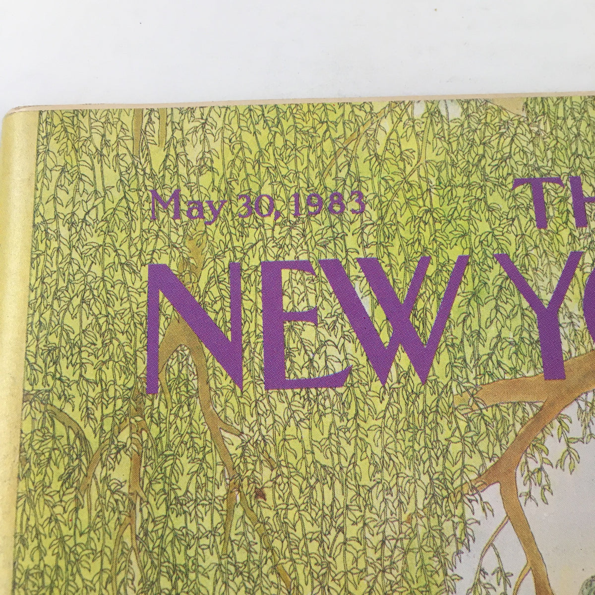 Close-up view of The New Yorker Magazine May 30 1983 cover, highlighting the title and date along with intricate details of the serene lakeside artwork 'Lakeside Afternoon' by Jenni Oliver.