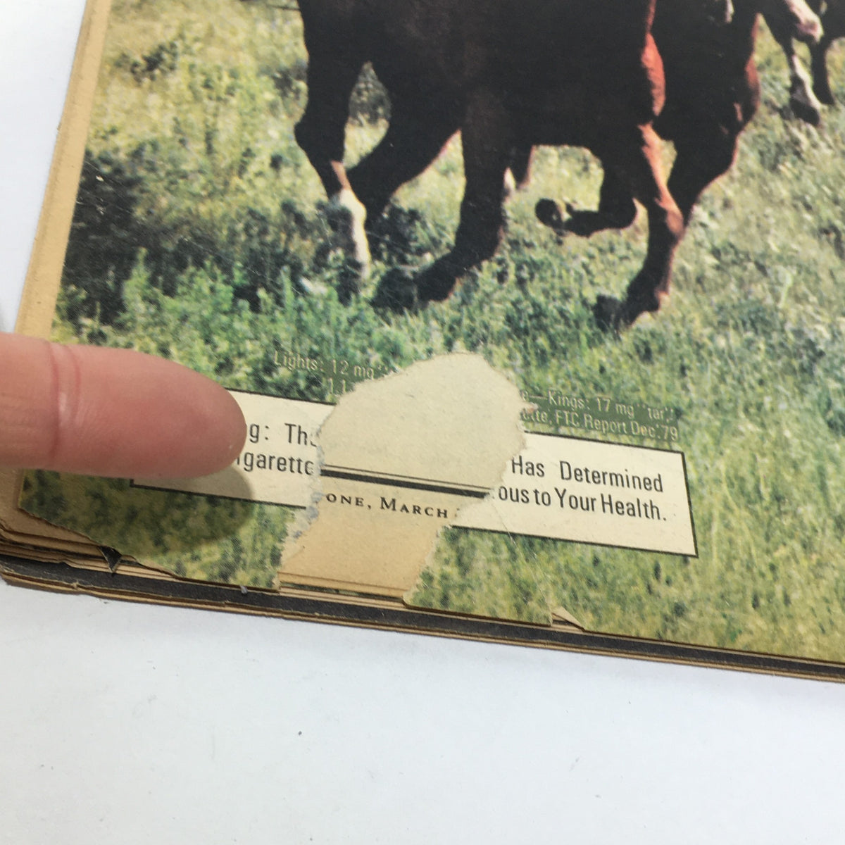 Back cover detail of the VTG Rolling Stone: March 1981 magazine, featuring a health warning and showing signs of age and use.