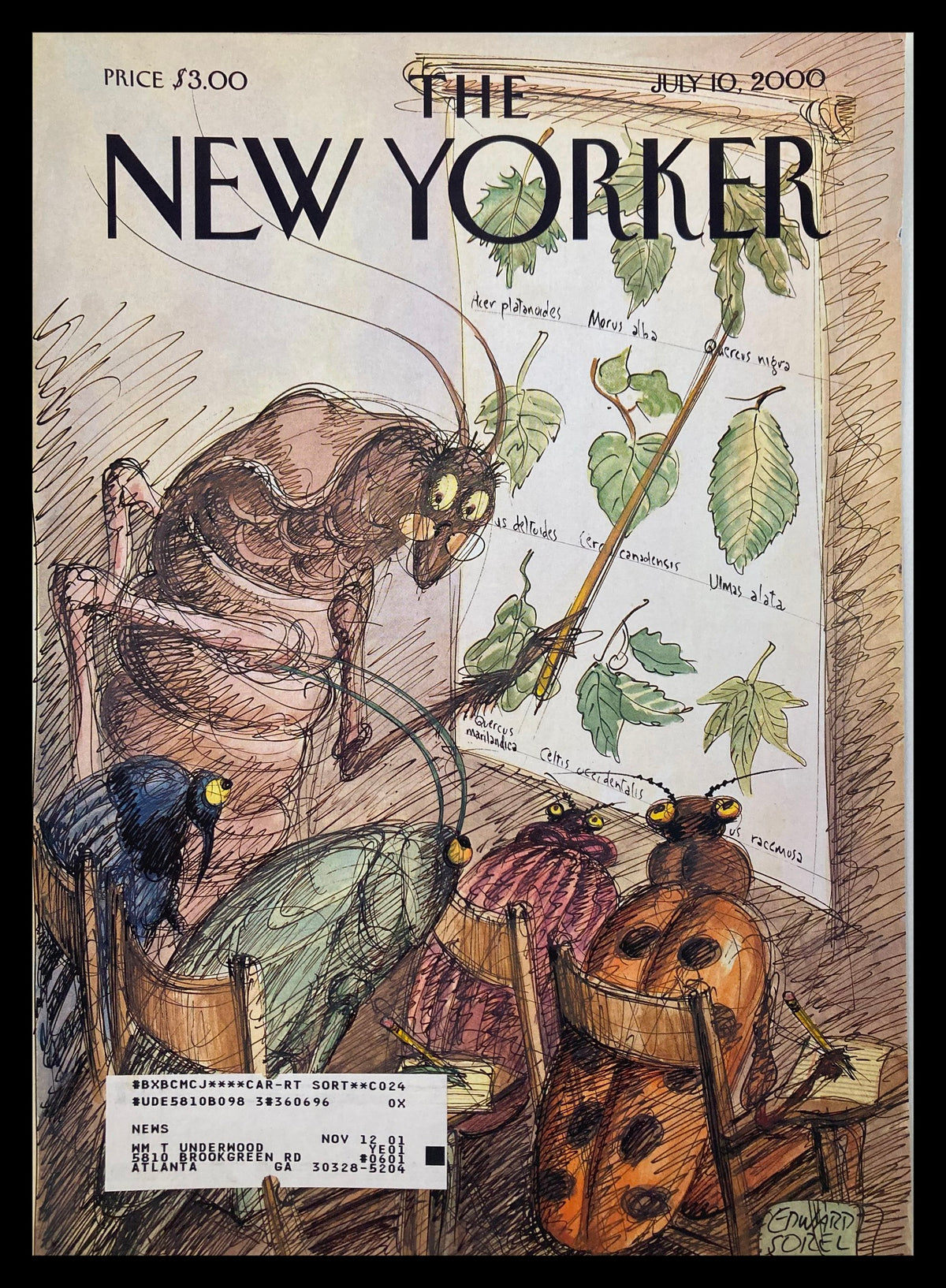 Cover of The New Yorker, July 10, 2000, titled 'Summer School' by Edward Sorel, depicting whimsical insects studying botany with an educational poster in the background.